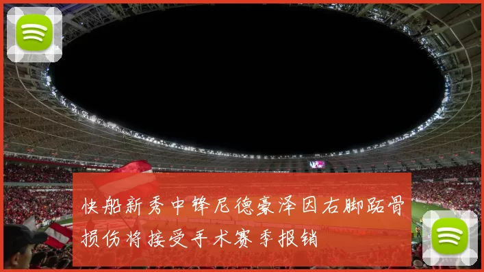 快船新秀中锋尼德豪泽因右脚跖骨损伤将接受手术赛季报销